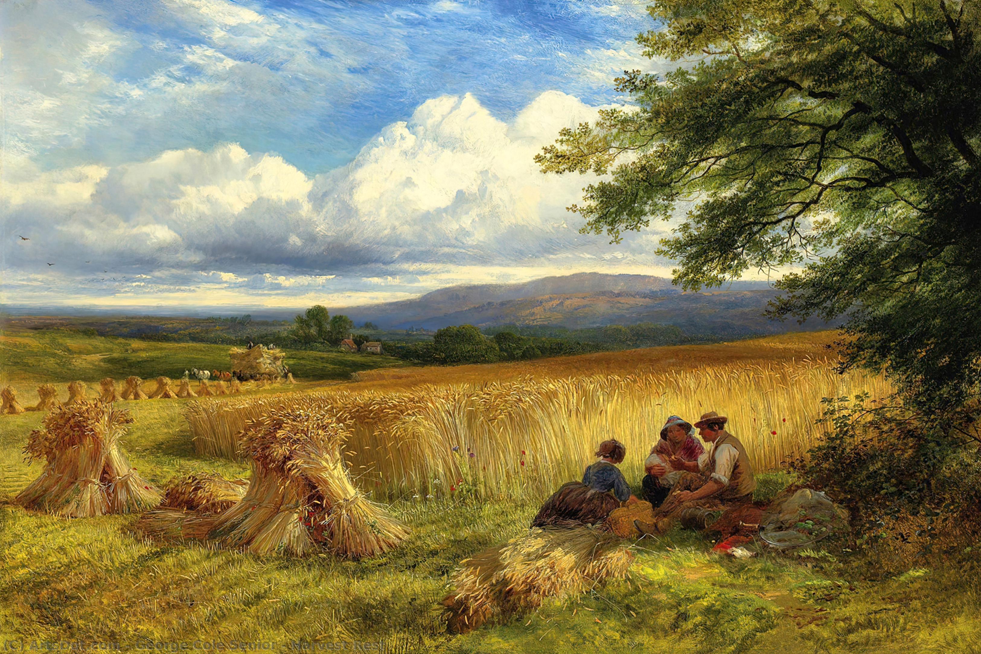 George-cole-senior-harvest-rest.jpg